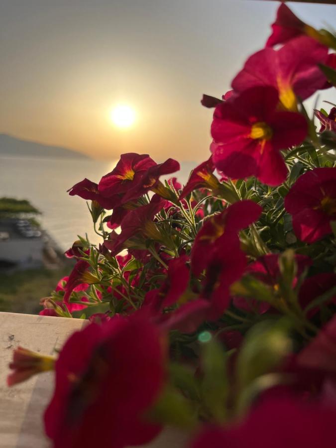 Lotus Apartments Vlorë Екстериор снимка