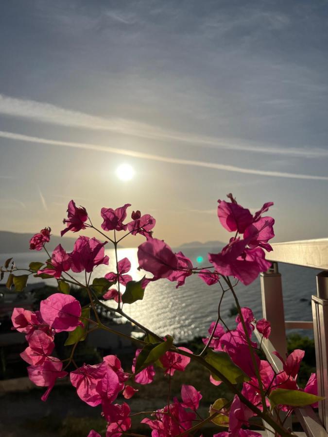 Lotus Apartments Vlorë Екстериор снимка